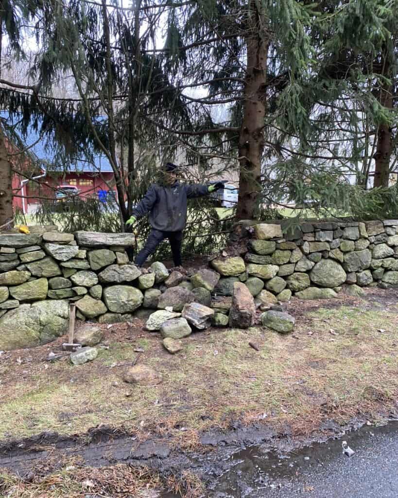 The crumbling section of stone fence.