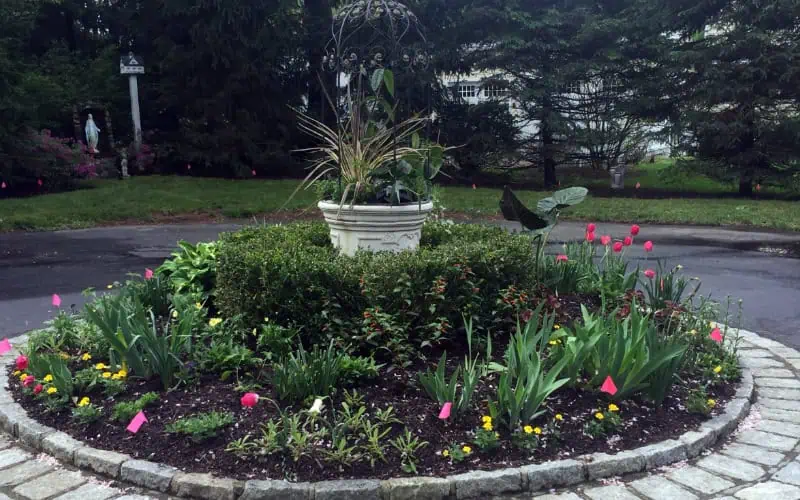 Planting Services